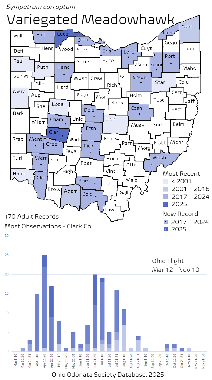 Variegated Meadowhawk.png