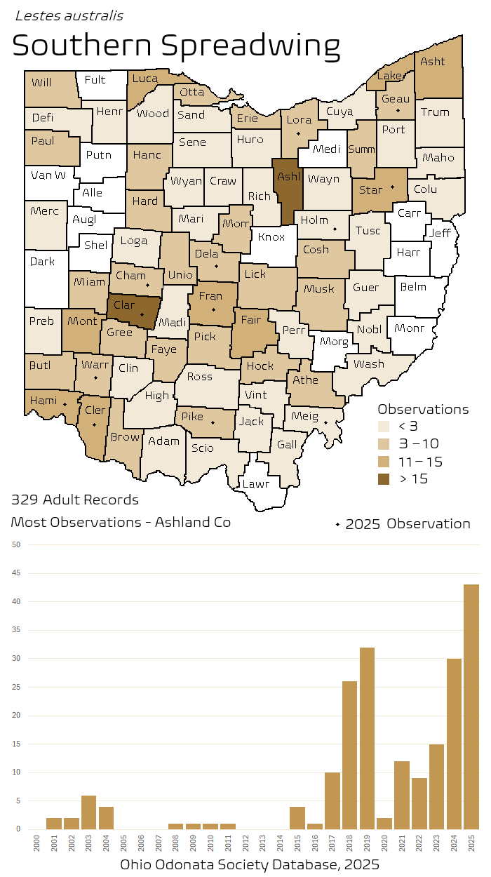 southern spreadwing.png