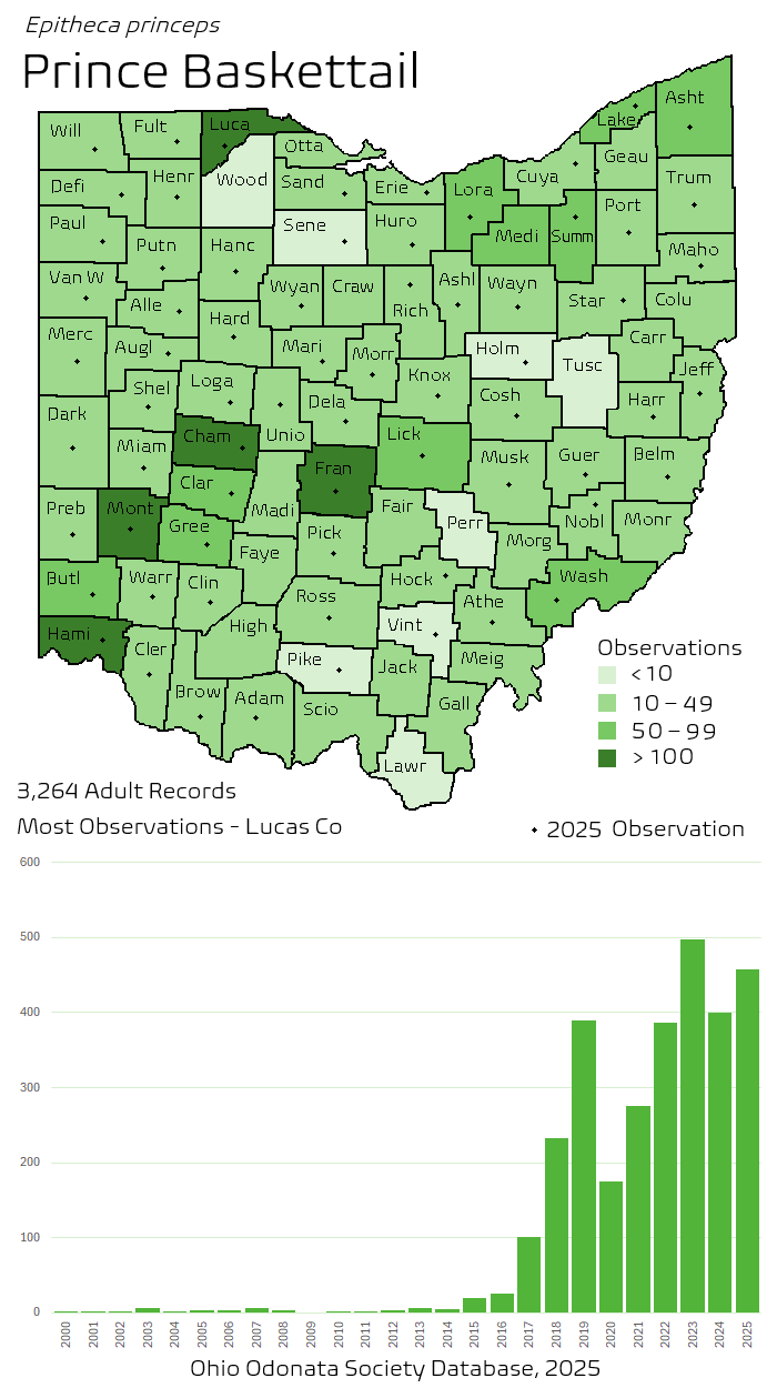 prince baskettail.png