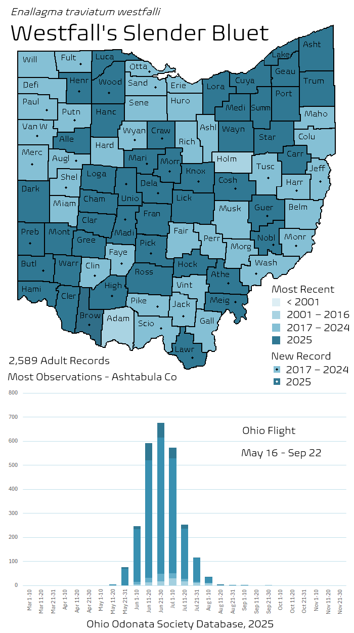 Westfalls Slender Bluet.png