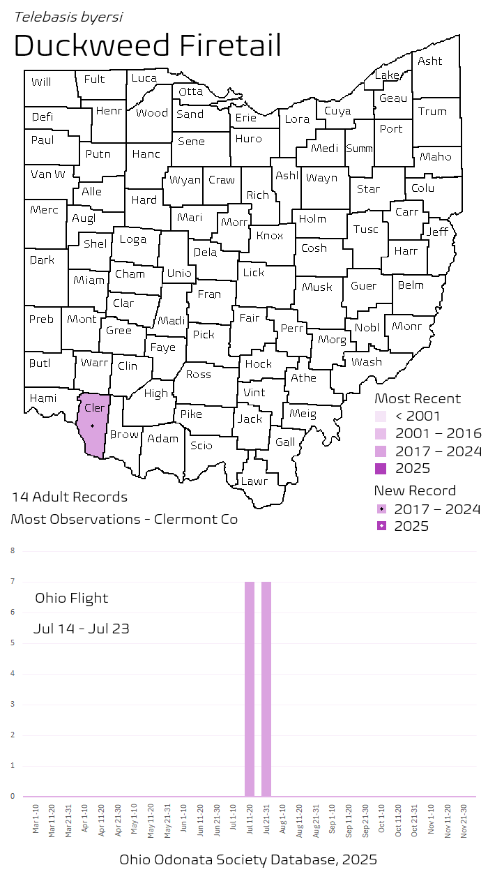Duckweed Firetail.png
