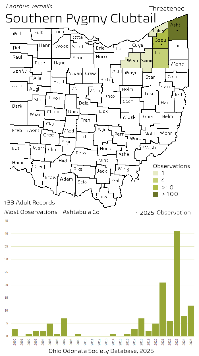 southern pygmy clubtail.png