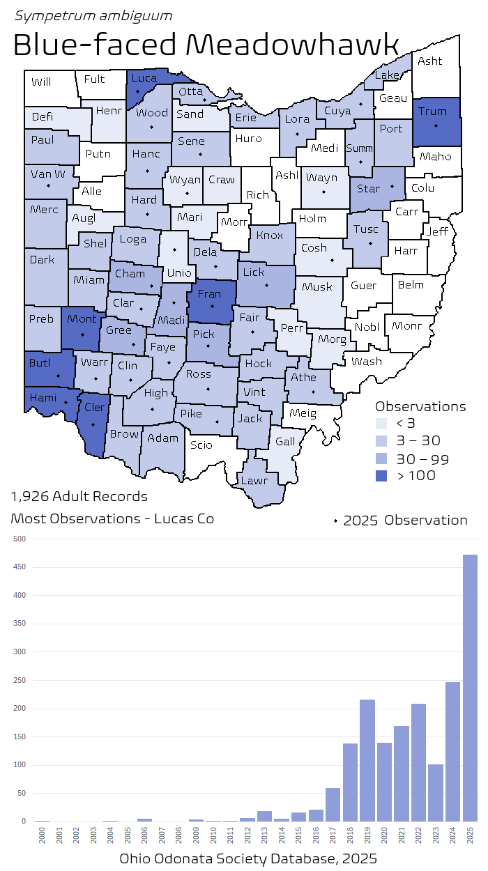 blue-faced meadowhawk.png
