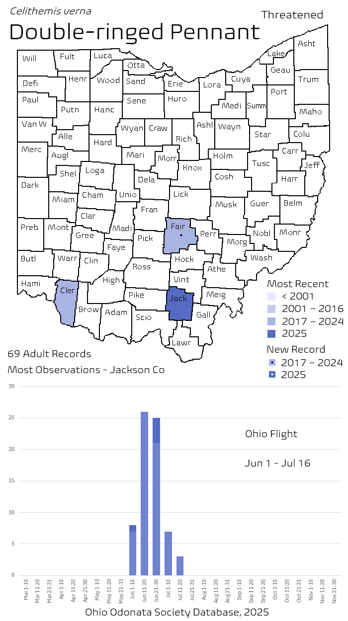 Double-ringed Pennant.png