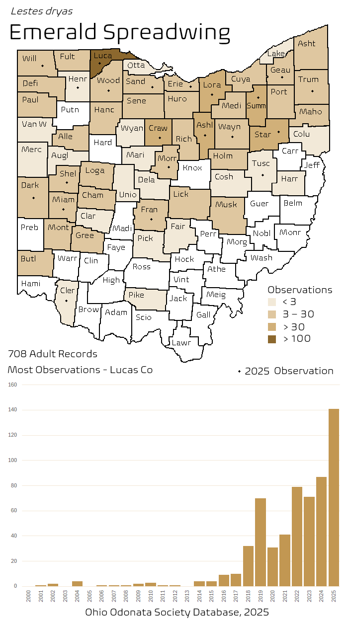 emerald spreadwing.png