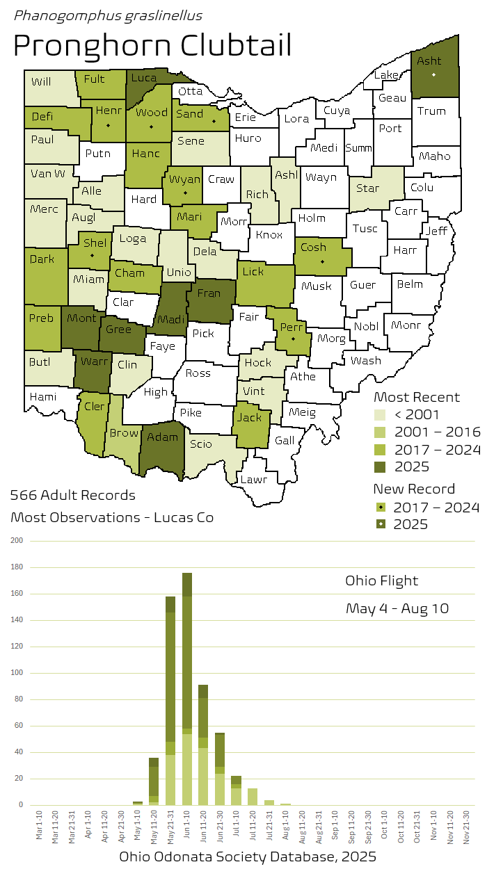 Pronghorn Clubtail.png