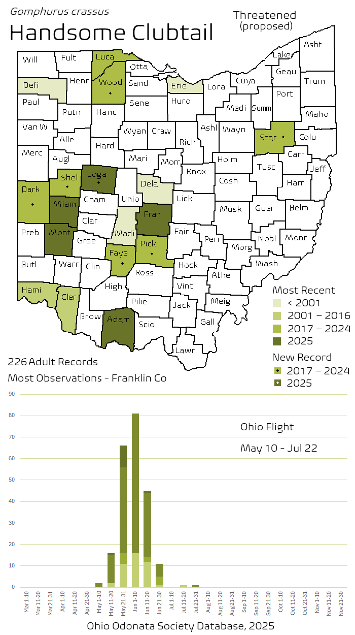 Handsome Clubtail.png
