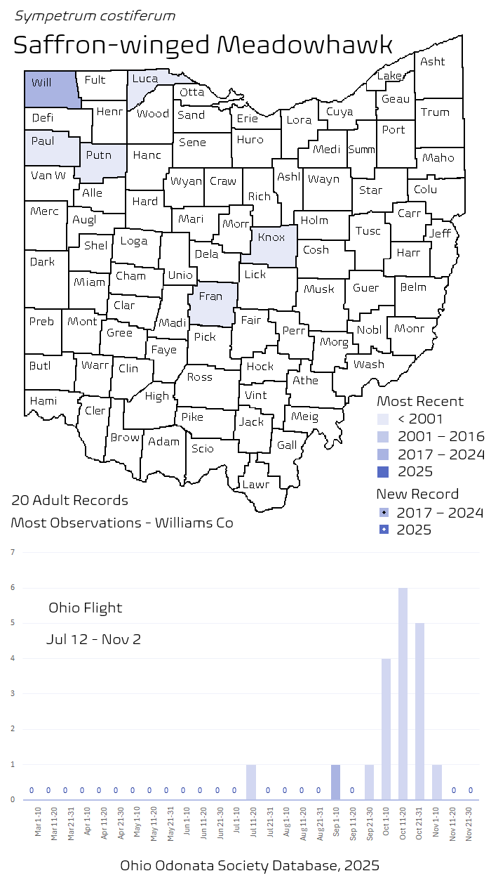 Saffron-winged Meadowhawk.png