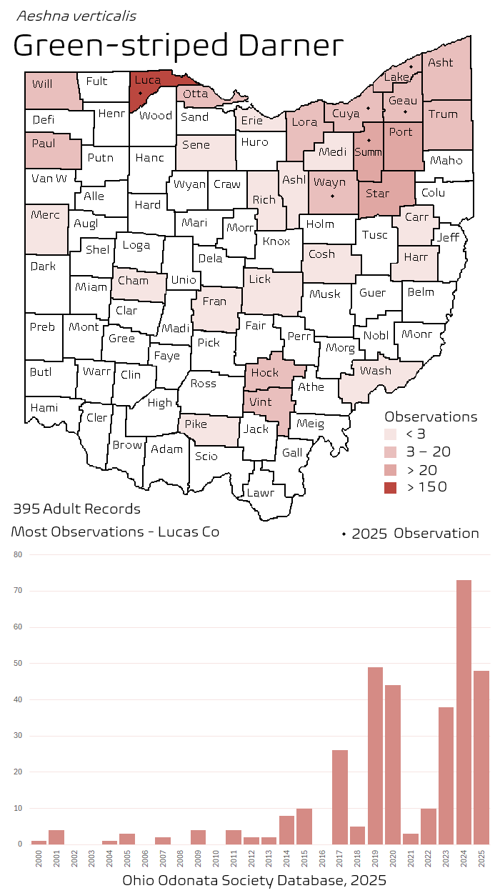 green-striped darner.png