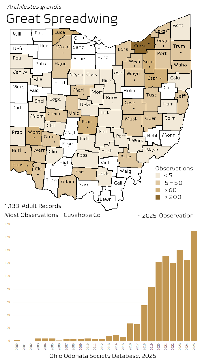 great spreadwing.png
