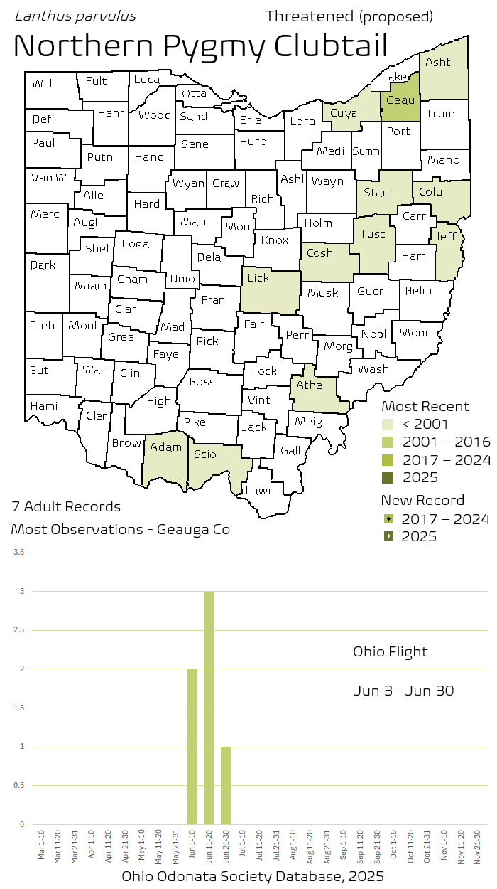 Northern Pygmy Clubtail.png