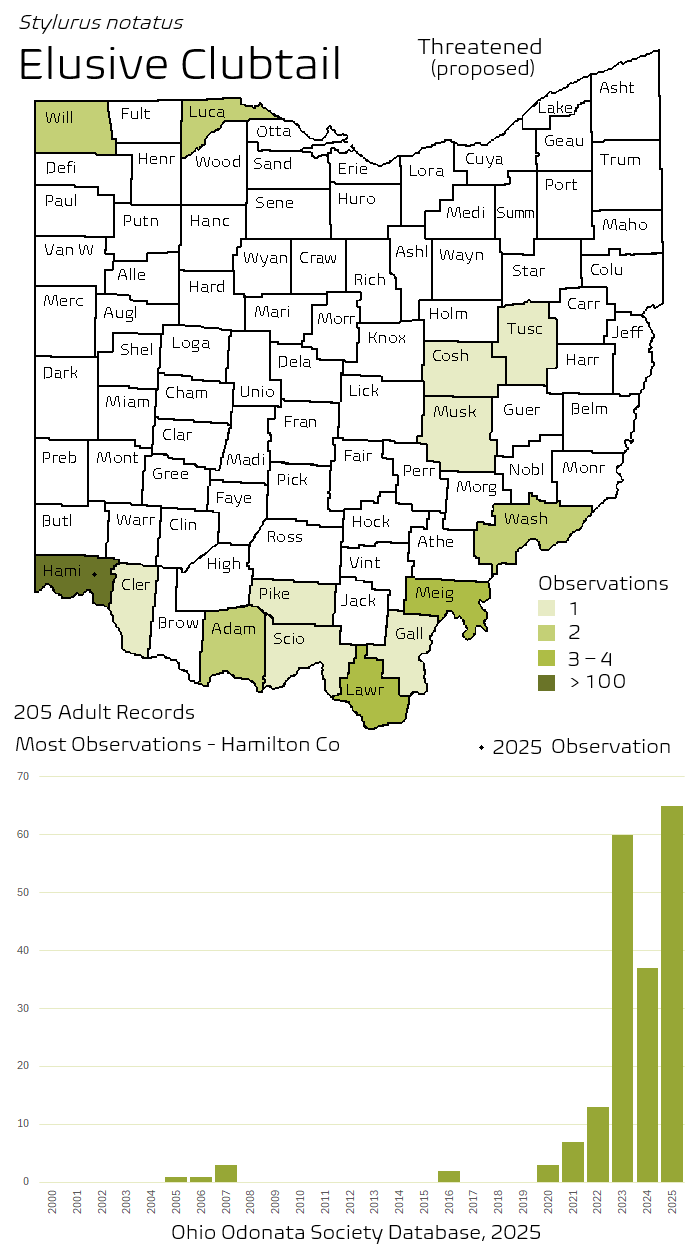 elusive clubtail.png