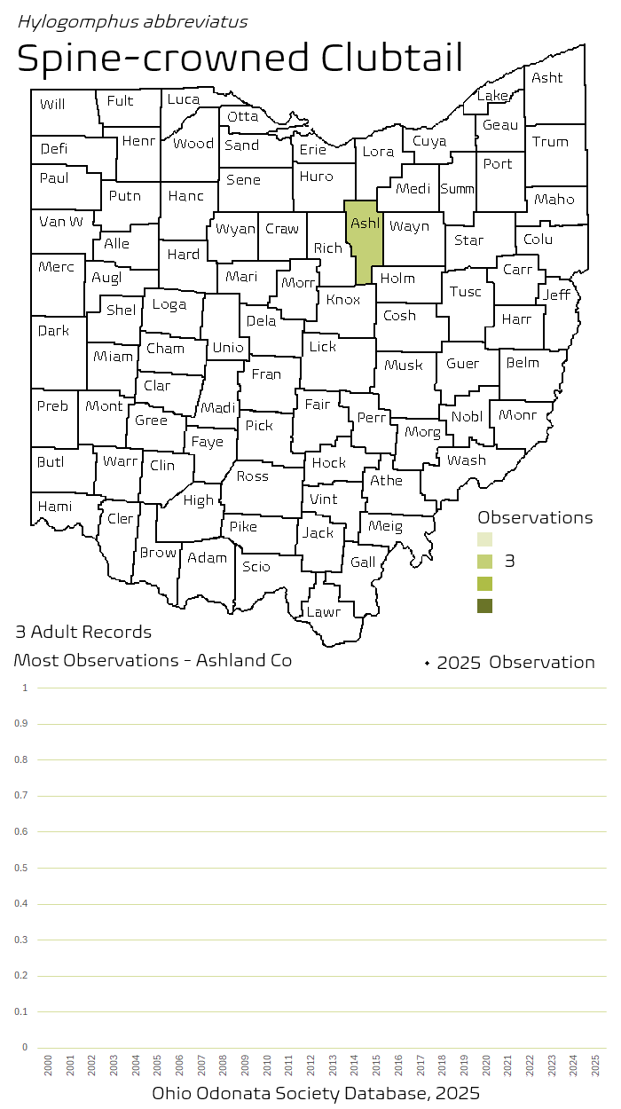 spine-crowned clubtail.png