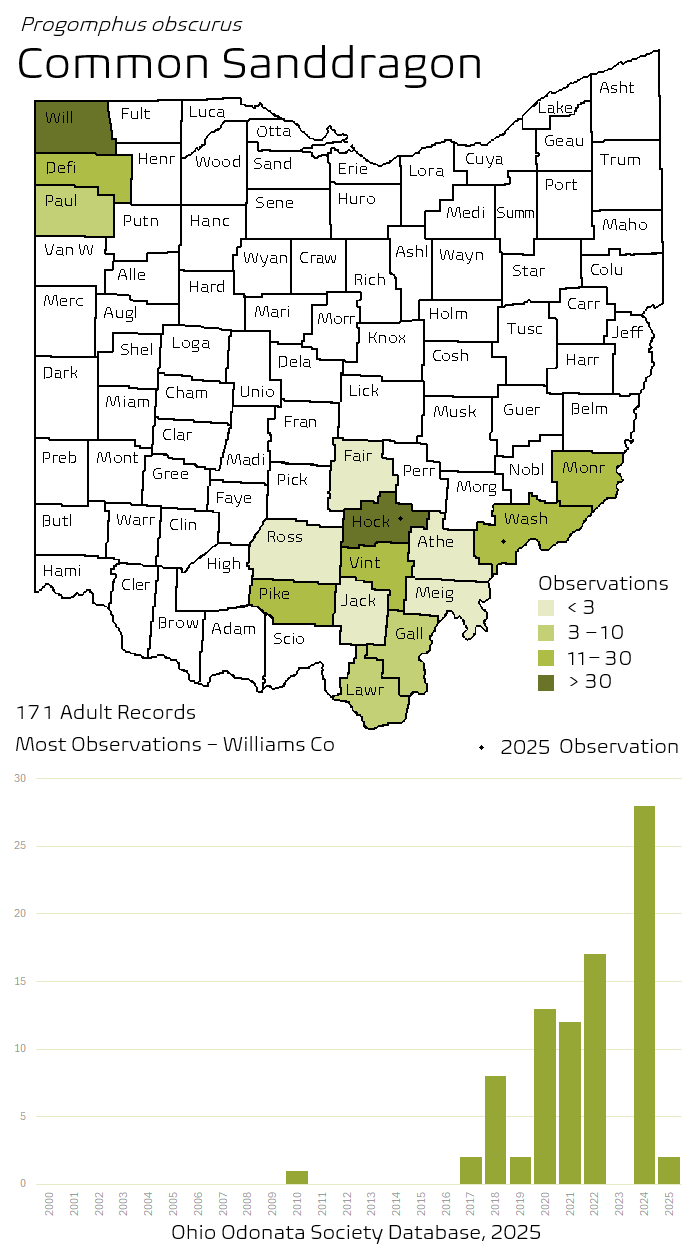 common sanddragon.png