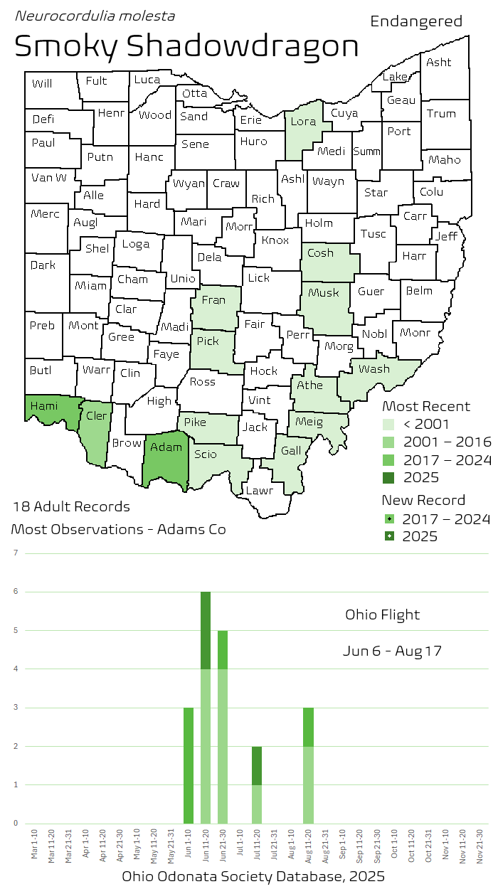 Smoky Shadowdragon.png