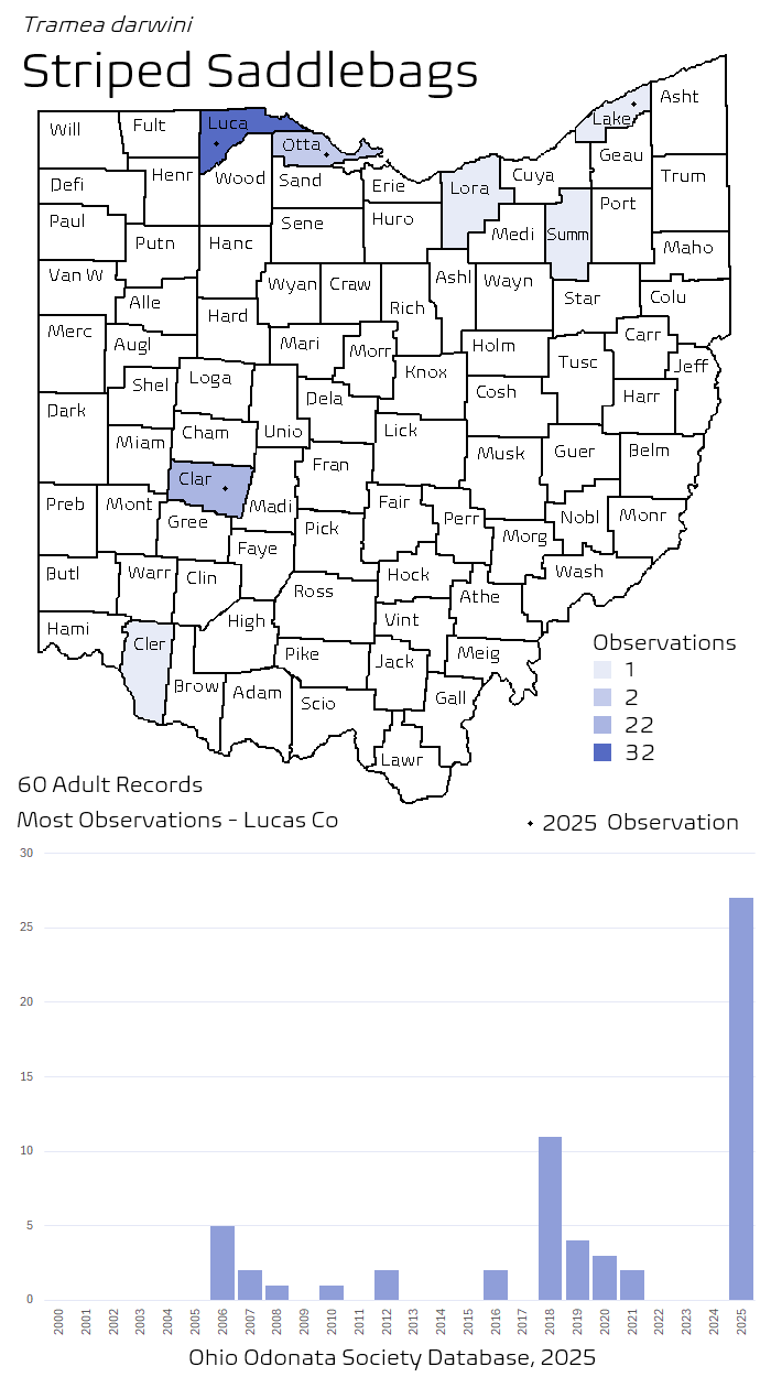 striped saddlebags.png