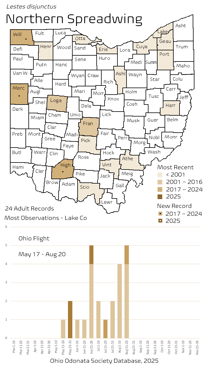 Northern Spreadwing.png