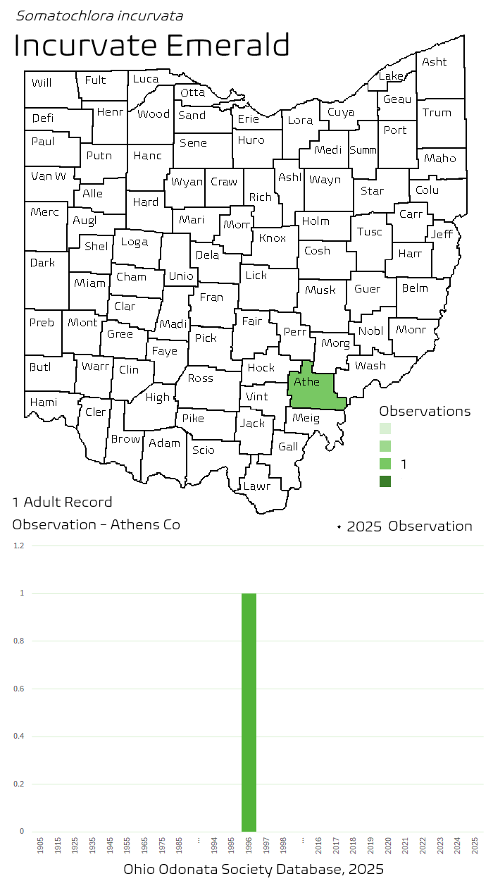 incurvate emerald.png