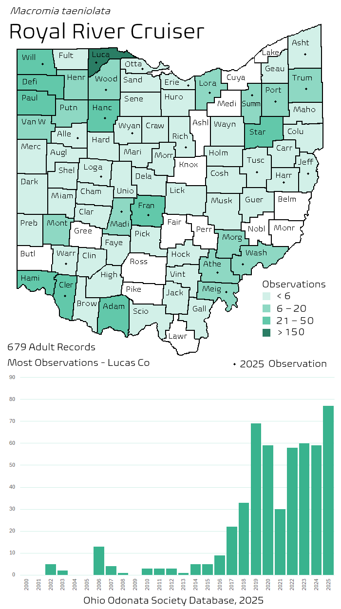 royal river cruiser.png