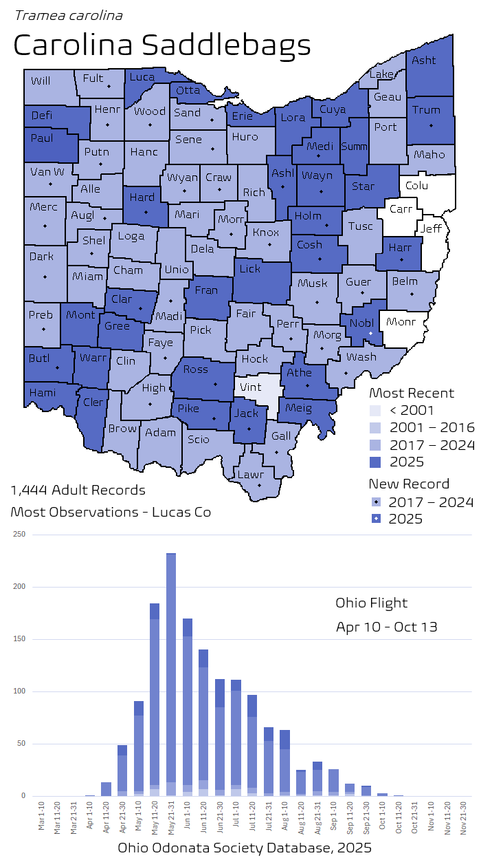 Carolina Saddlebags.png