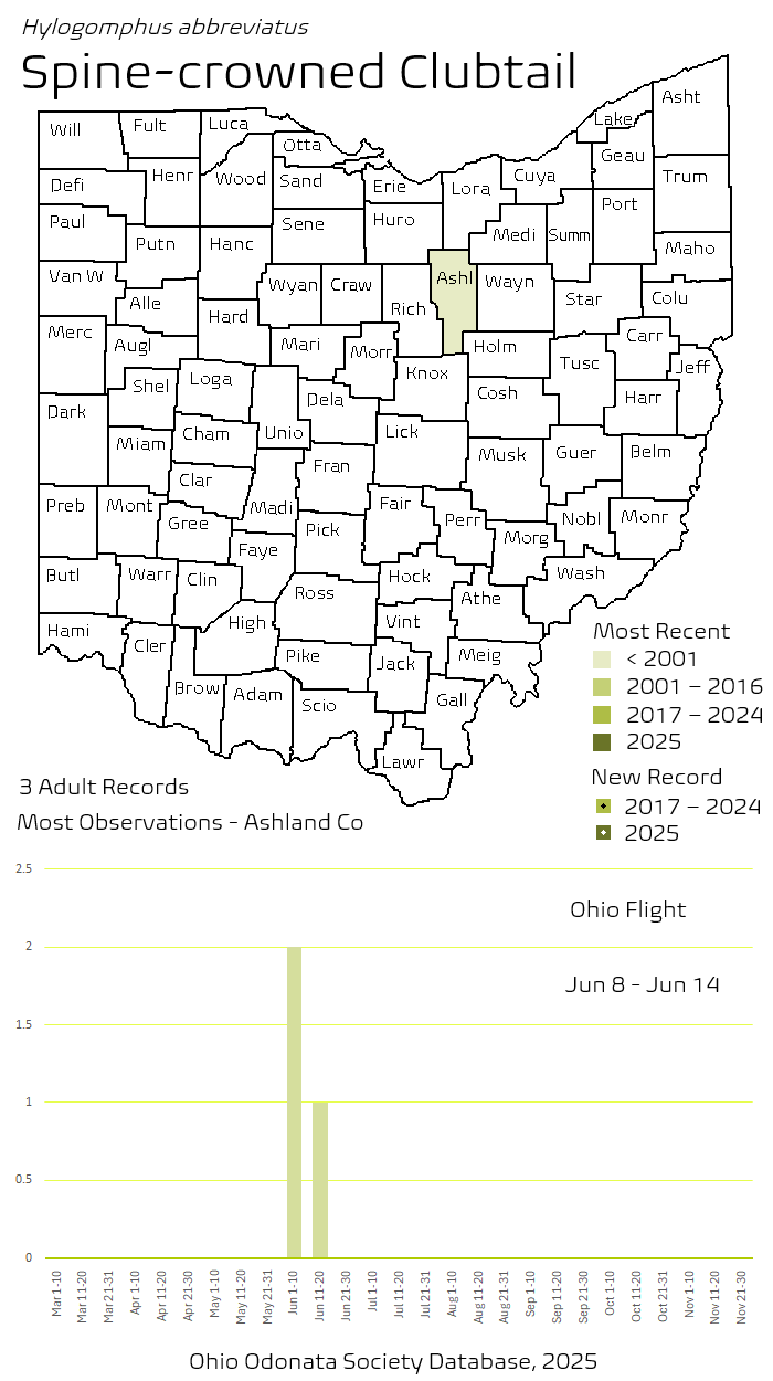 Spine-crowned Clubtail.png