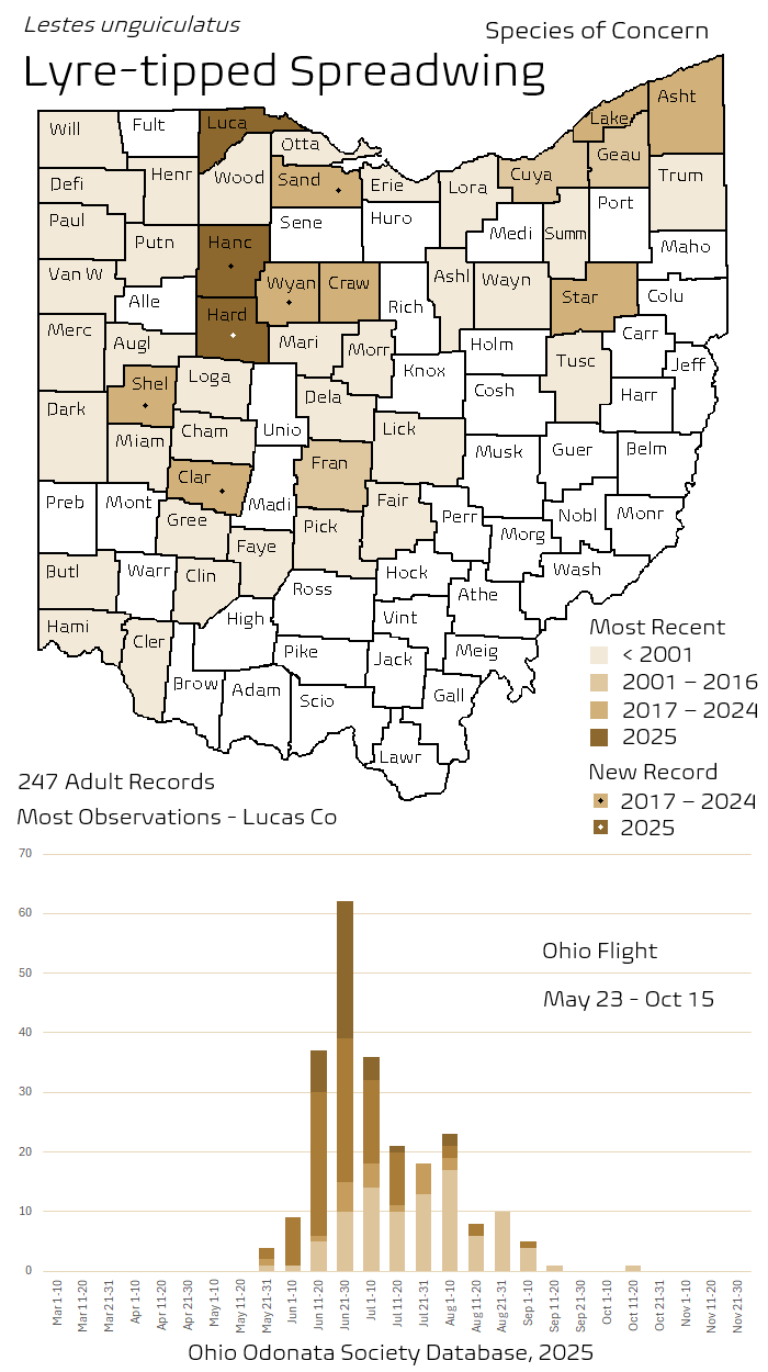 Lyre-tipped Spreadwing.png