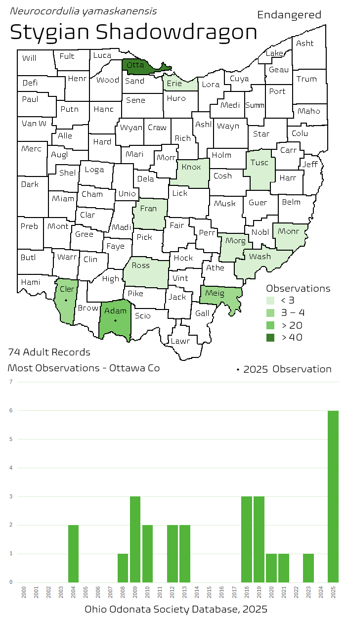stygian shadowdragon.png