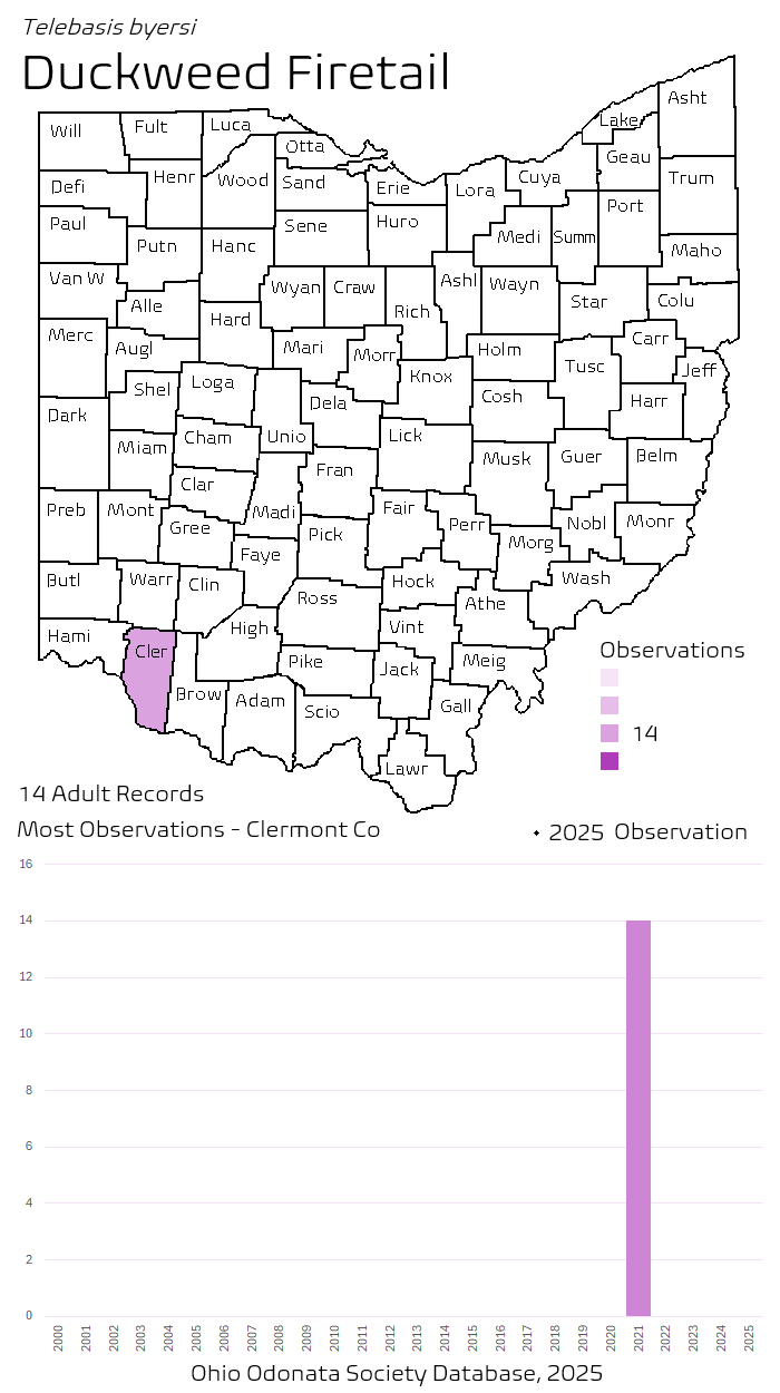 duckweed firetail.png