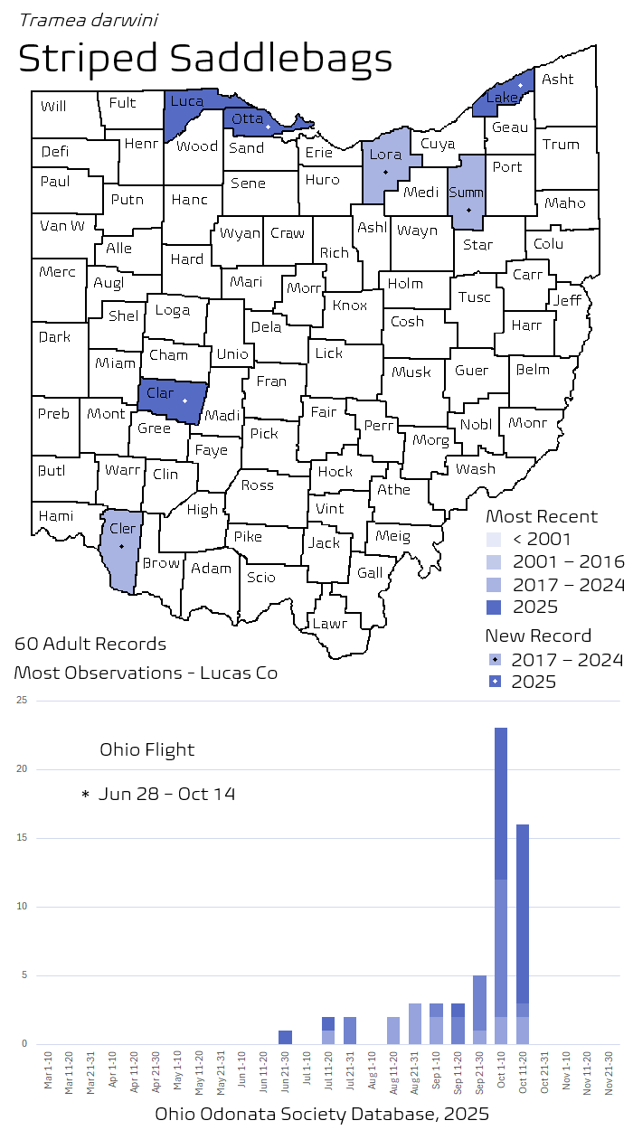 Striped Saddlebags.png