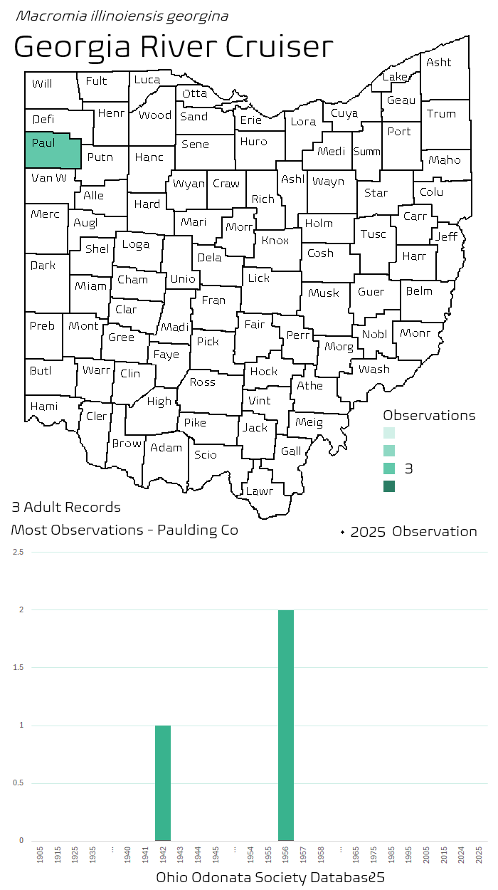 georgia river cruiser.png