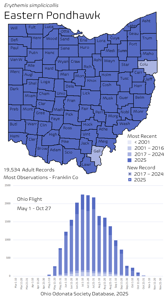 Eastern Pondhawk.png