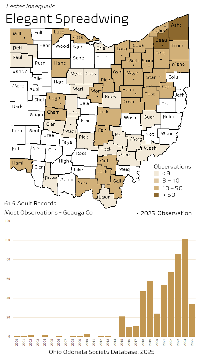 elegant spreadwing.png