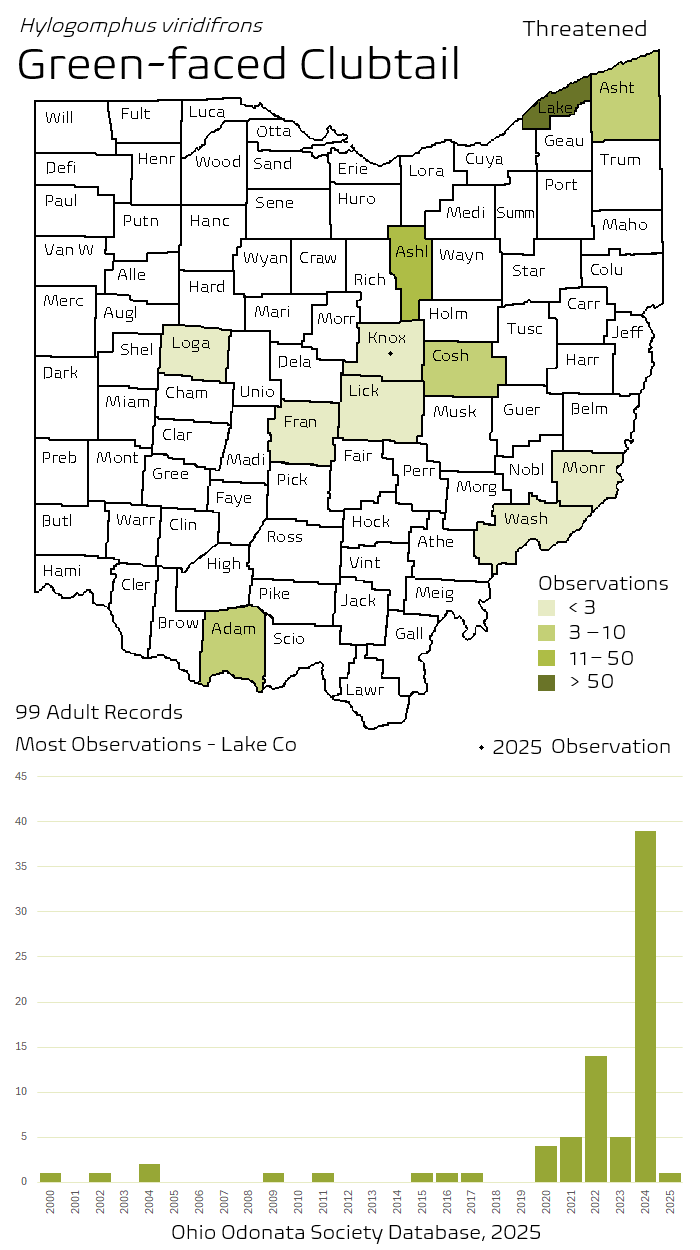 green-faced clubtail.png