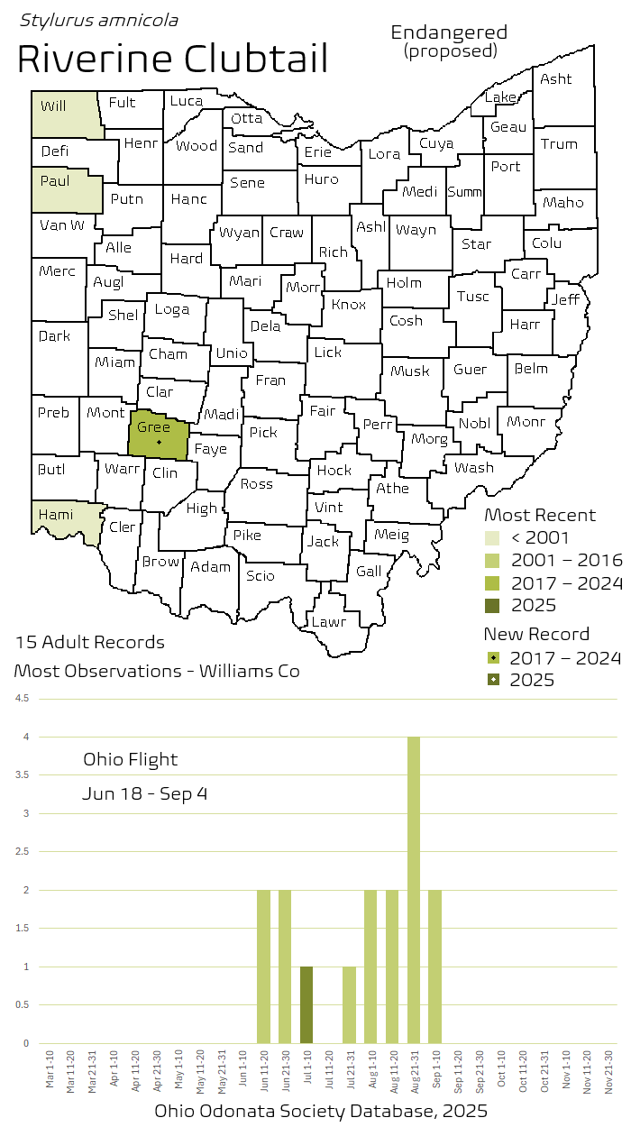 Riverine Clubtail.png