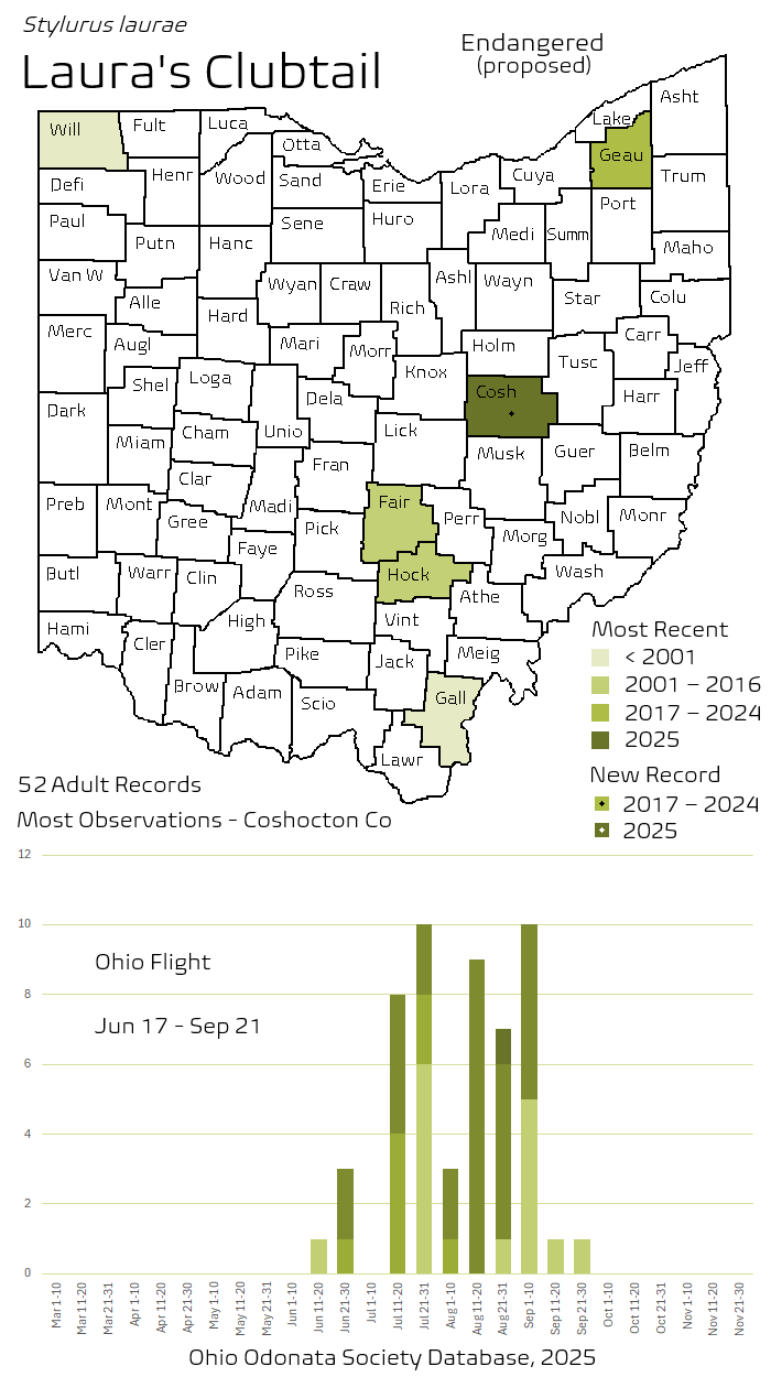 Laura's Clubtail.png