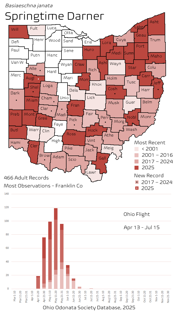 Springtime Darner.png