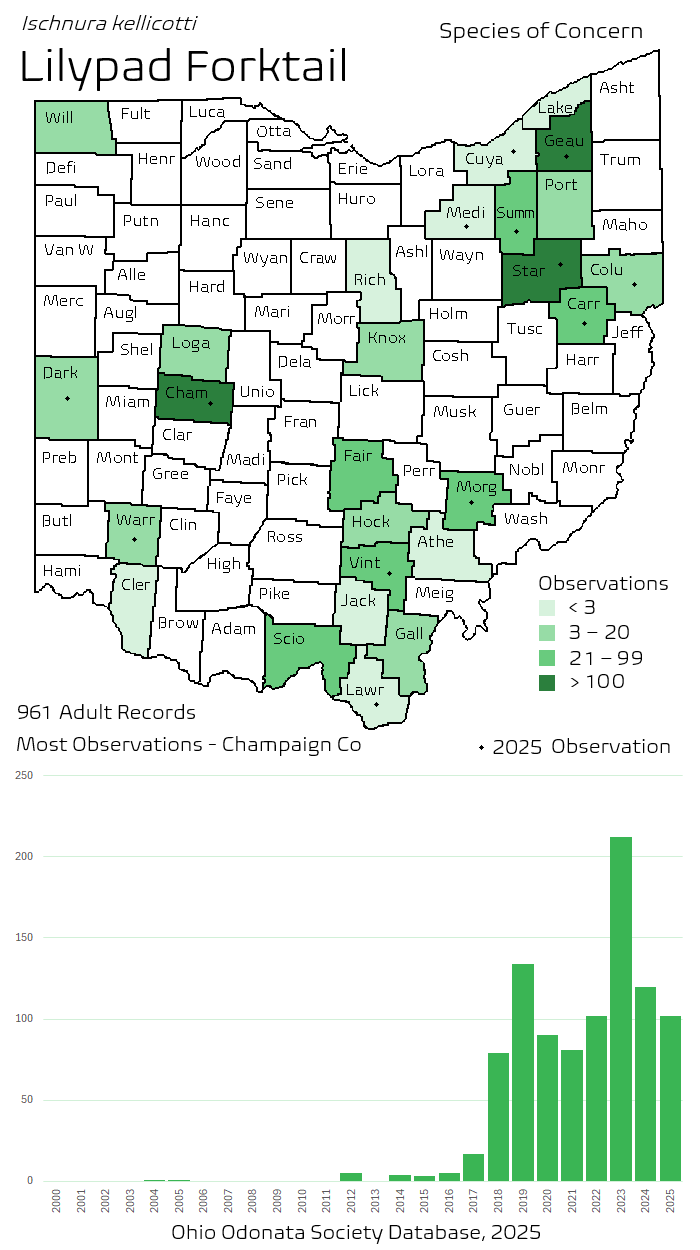 lilypad forktail.png