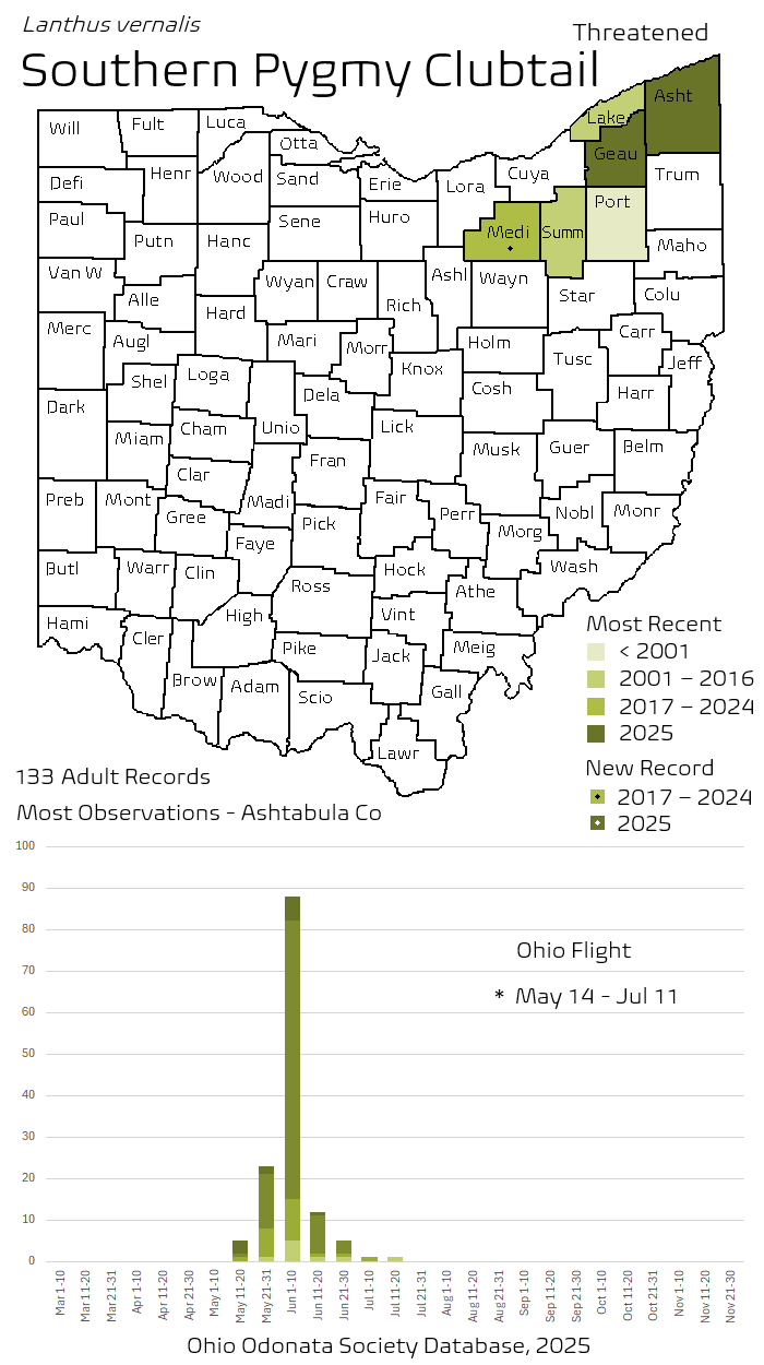 Southern Pygmy Clubtail.png