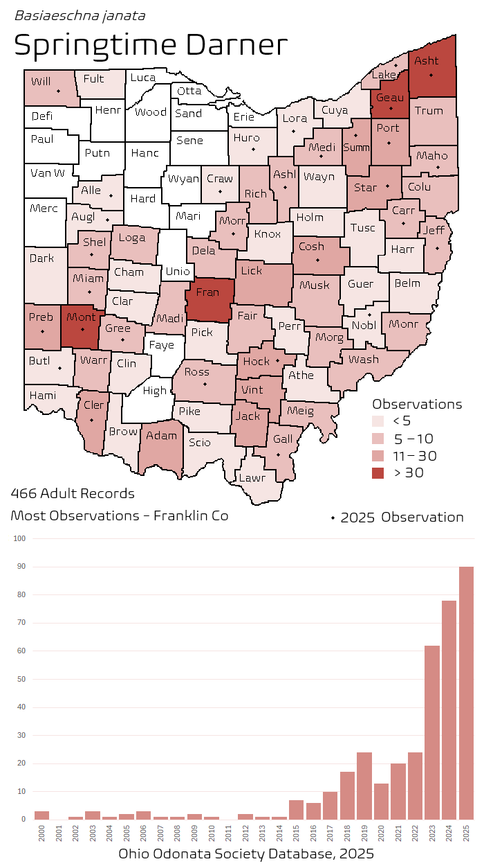 springtime darner.png