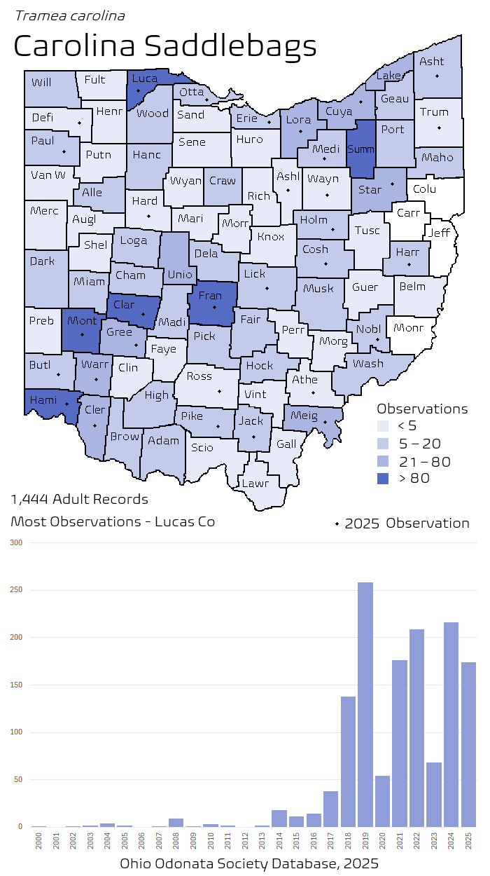 carolina saddlebags.png