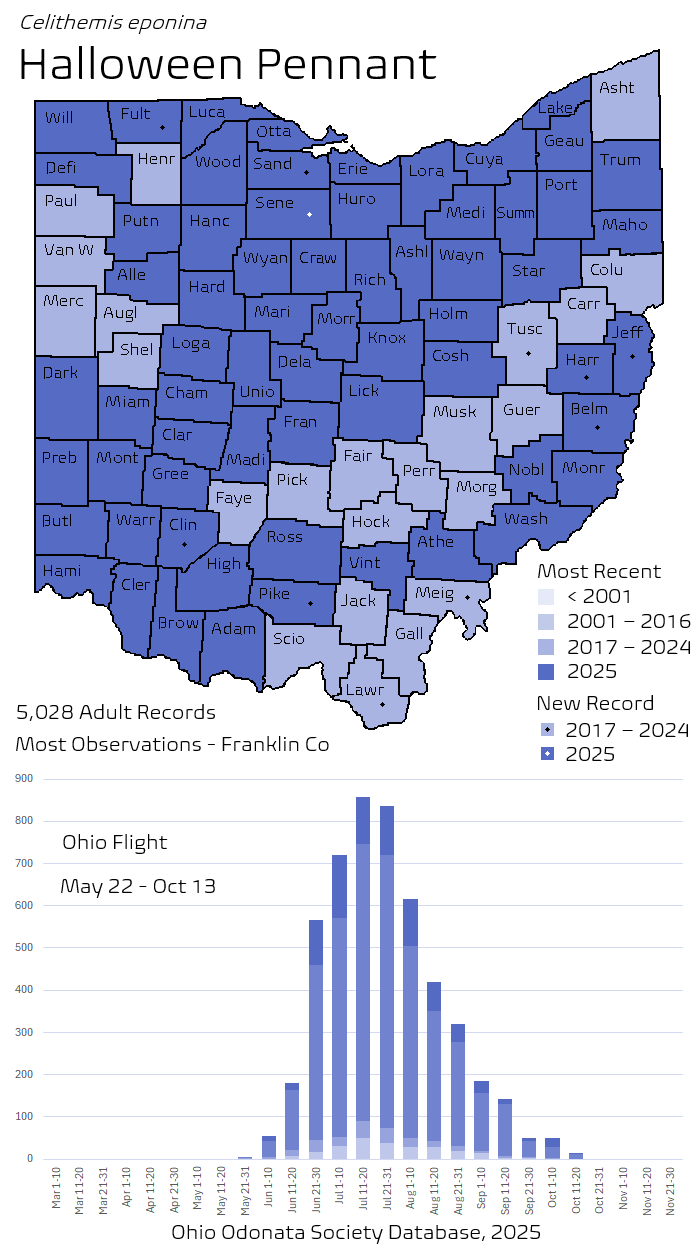Halloween Pennant.png