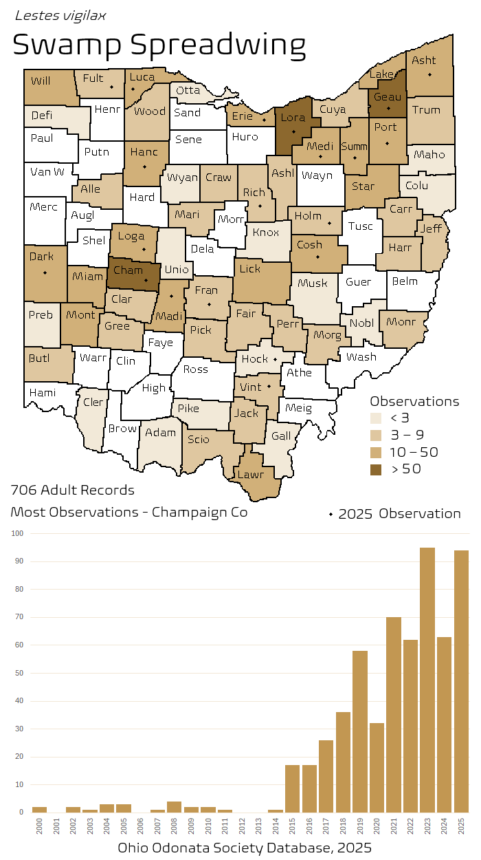 swamp spreadwing.png