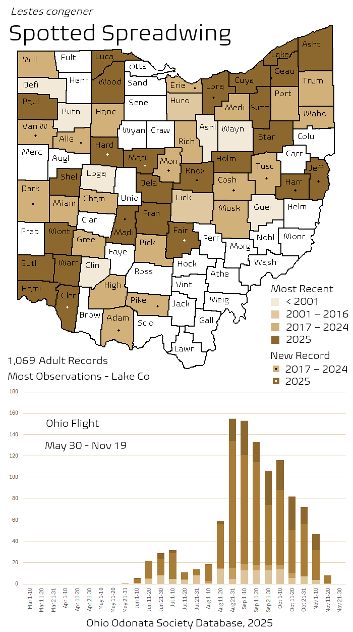 Spotted Spreadwing.png