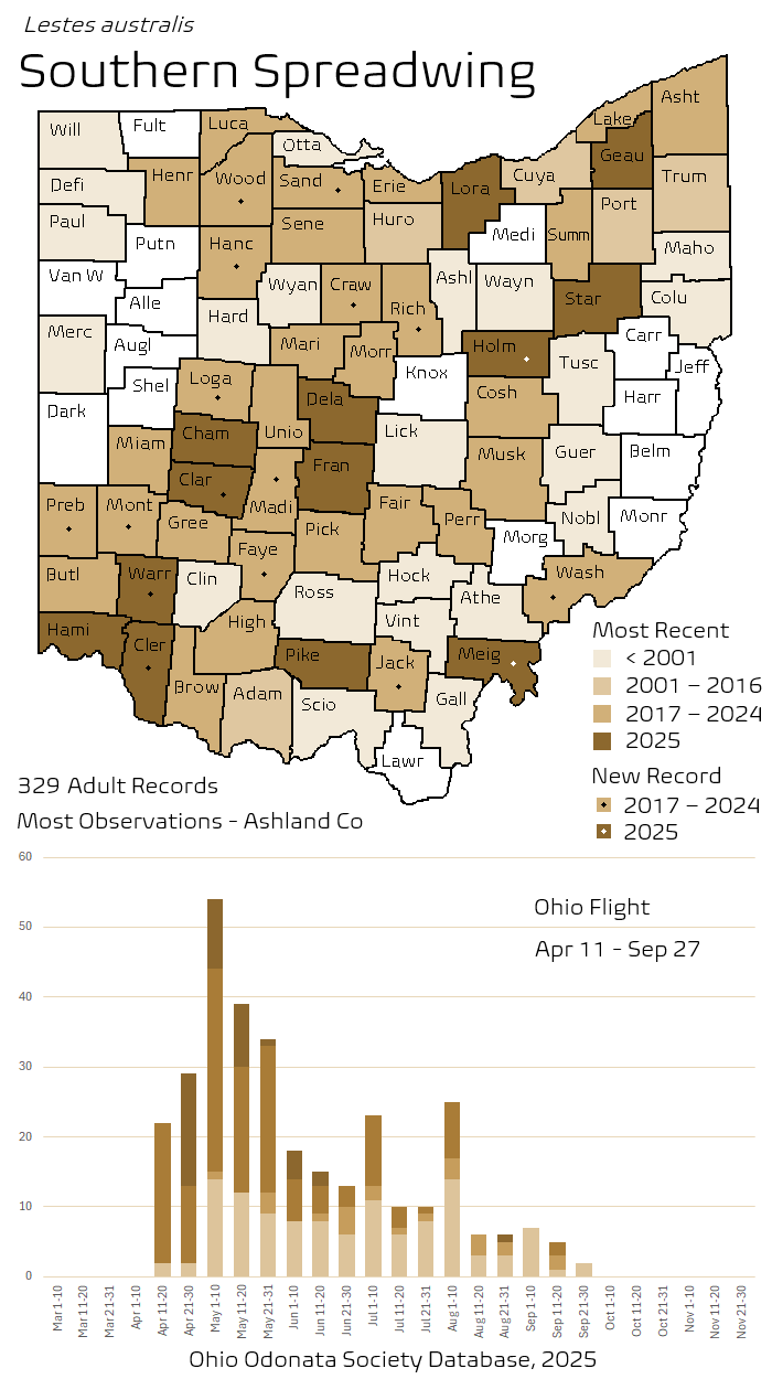 Southern Spreadwing.png
