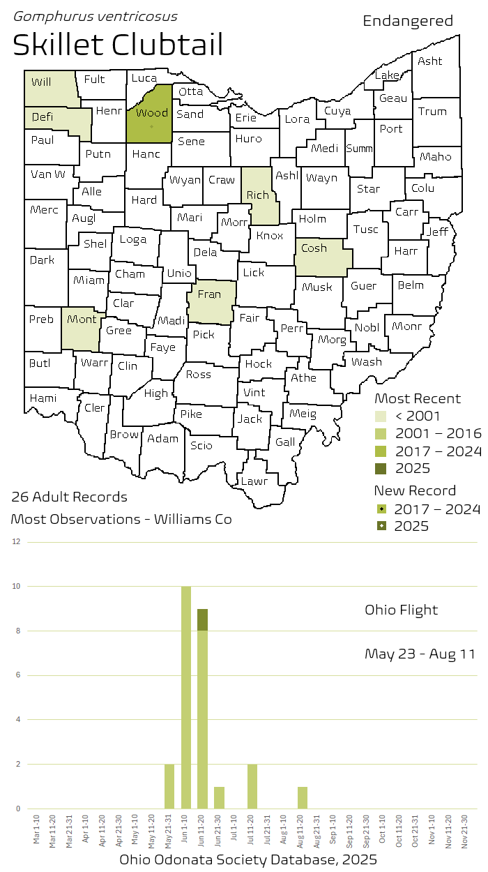 Skillet Clubtail.png