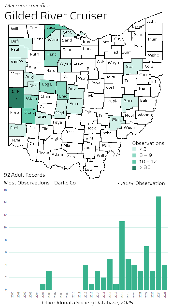 gilded river cruiser.png