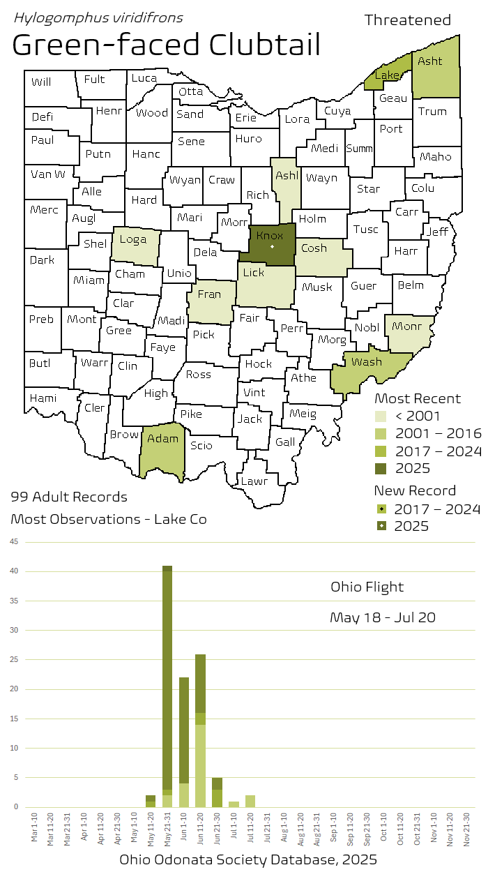 Green-faced Clubtail.png