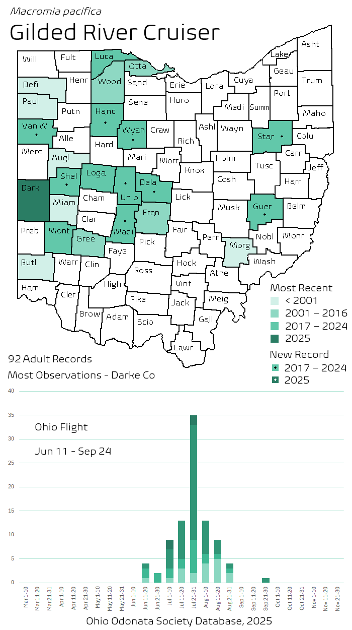 Gilded River Cruiser.png