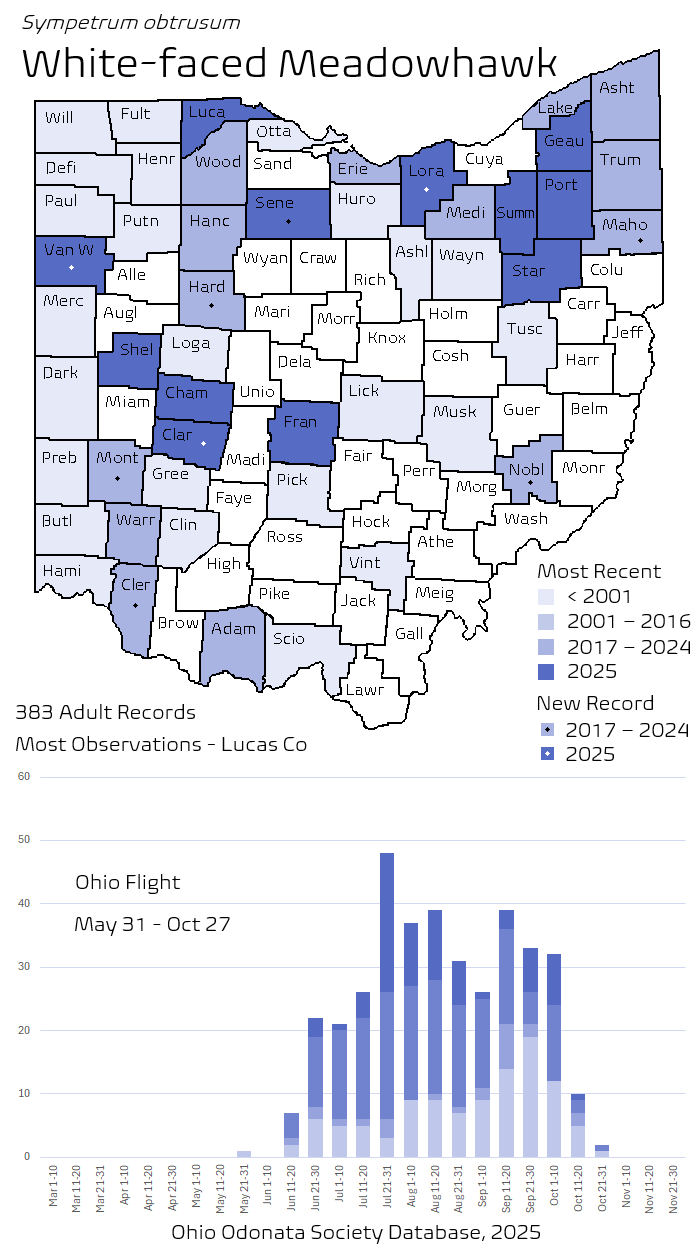 White-faced Meadowhawk.png