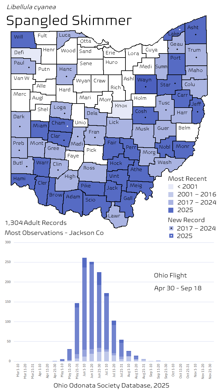 Spangled Skimmer.png